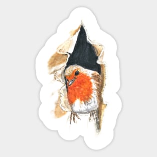 Robin Bird in a Hole Sticker